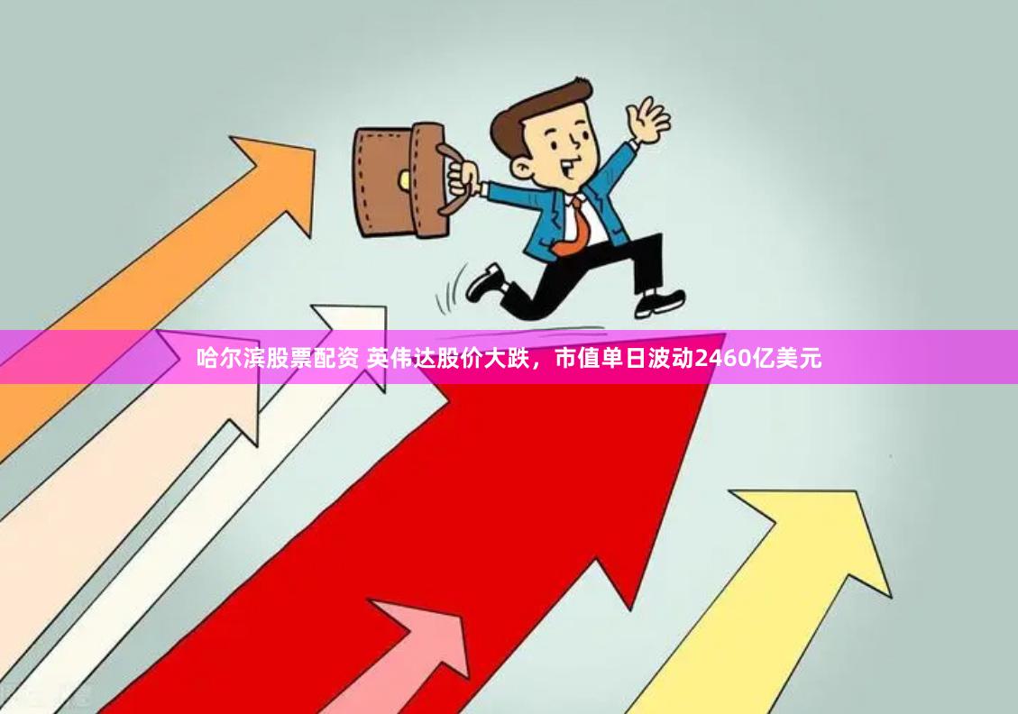 哈尔滨股票配资 英伟达股价大跌，市值单日波动2460亿美元